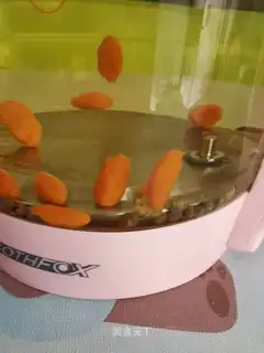 A tea with chrysanthemum
