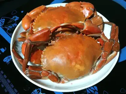 Onions of green crabs