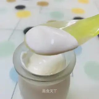 Homemade yogurt