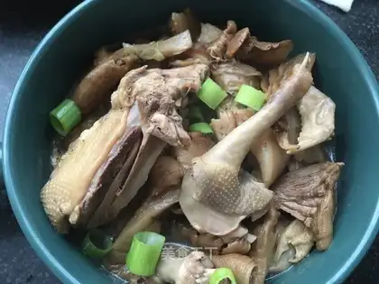 Yuen-sooked pigeon