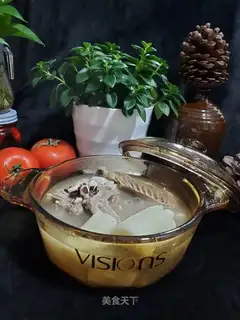 The duck mountain potion soup
