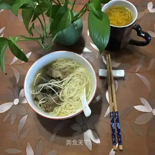 Old duck noodles
