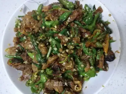 Chili slag