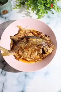 Red-burned mackerel