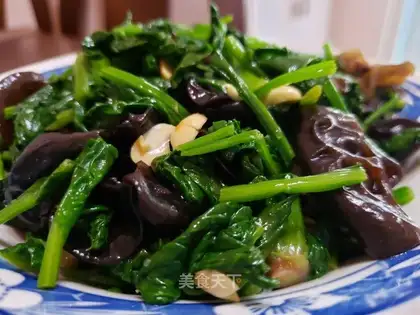 Spinach chords