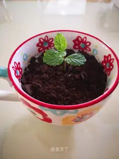 Olio's yogurt plant