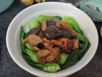 Powders and mushrooms