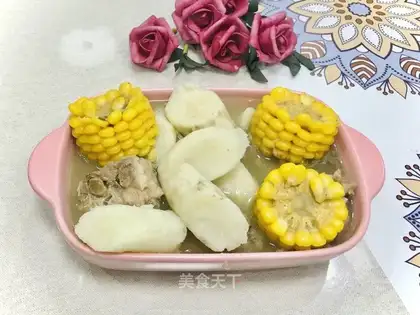 The spinal cortex cuisine