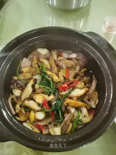 Abalone