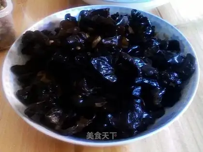 cabbage and fungus