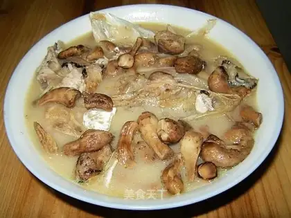 Fish head and mushroom soup