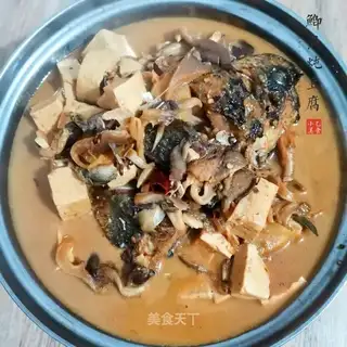 Squirty tofu