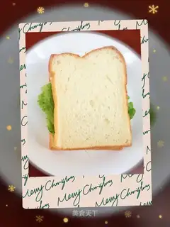 A sandwich