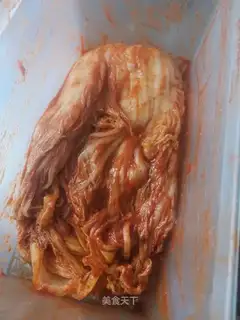 Korean cabbage