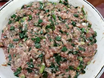 Tasty dumplings