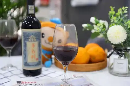 Christmas hot wine