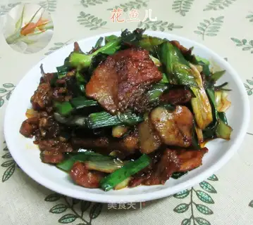 Salted meat