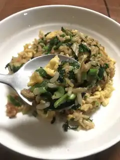 Garlic rice
