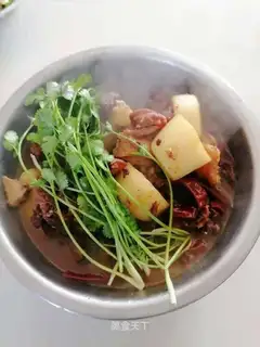 Red lamb