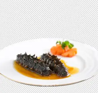 Gold Tom sea cucumber