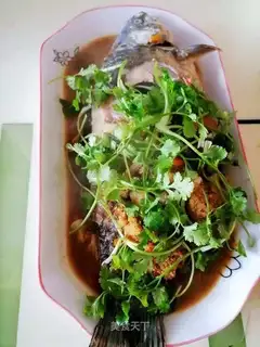Red-burned mackerel