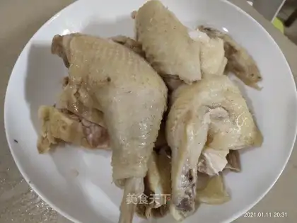White pheasant