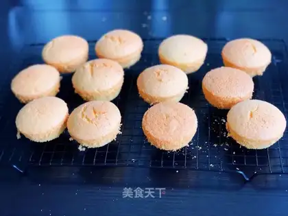 Old chicken cake without water