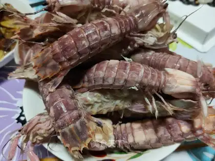 Shrimp