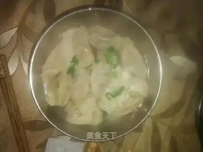 Spam dumplings
