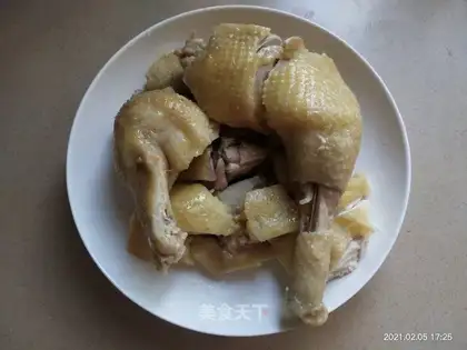 White pheasant