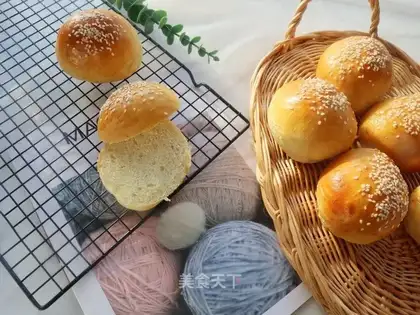 Homemade basic burger embryos