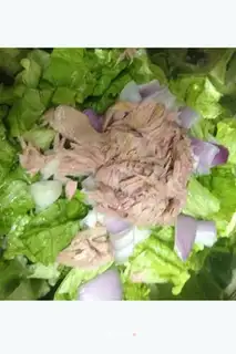 tuna fish salad