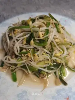 Spinach sprouts