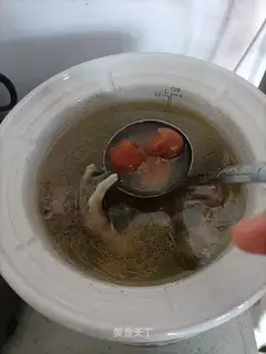 Sour goose soup