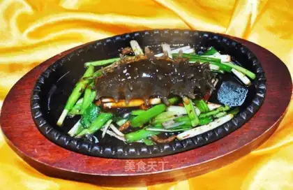 Two winters burning sea cucumbers