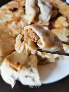 Roach beef-water fried dumplings