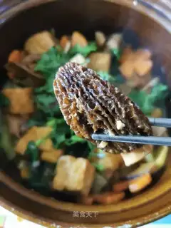 The fungus tofu