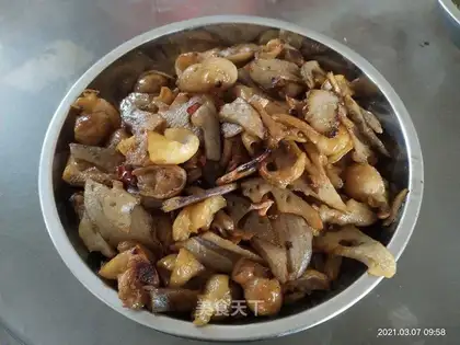 Big intestine