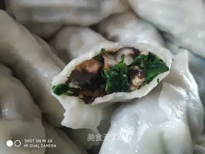 The veggie dumplings