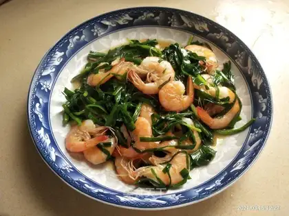 Shrimp