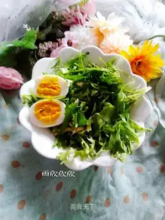 It's a chrysanthemum