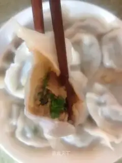 Pork dumplings
