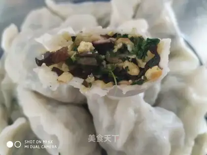 Spinach dumplings