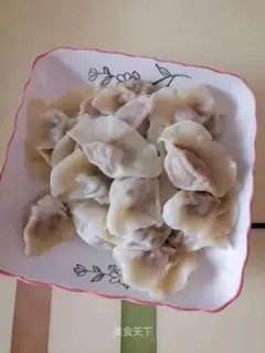 Fresh meat dumplings