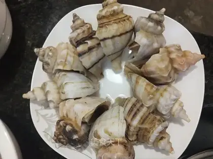 White burning conch