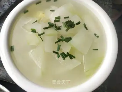 Dinosaur soup