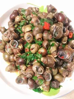 Snails