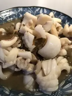 Squid
