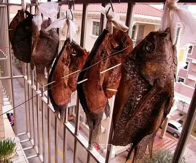 cured fish