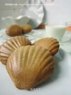 Matcha Shell Cake